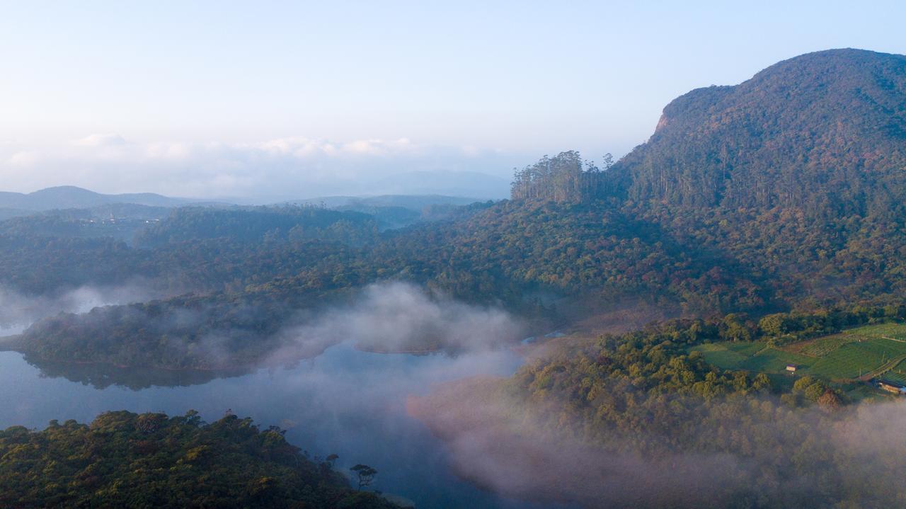 The Forest And Lake By Schofieldshire Nuwara Eliya Zewnętrze zdjęcie